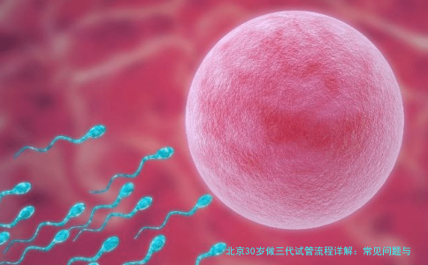北京30岁做三代试管流程详解：常见问题与避坑指南