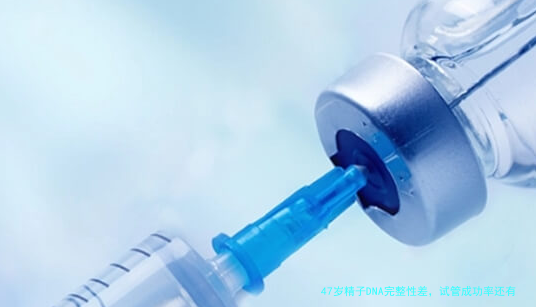 47岁精子DNA完整性差，试管成功率还有多少？别急，先看这些办法