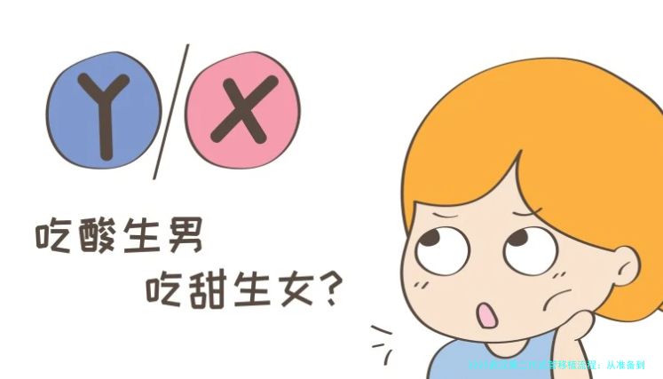 2025武汉第二代试管移植流程：从准备到成功的完整指南