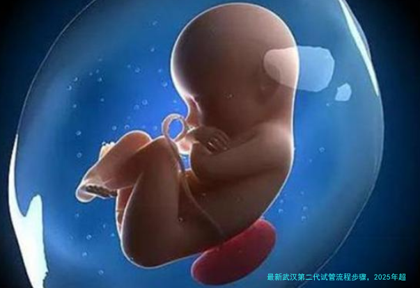 最新武汉第二代试管流程步骤，2025年超详细整理