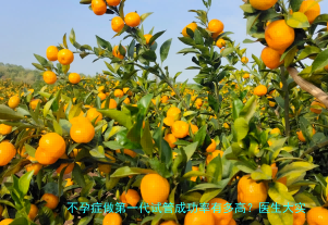 不孕症做第一代试管成功率有多高？医生大实话告诉你
