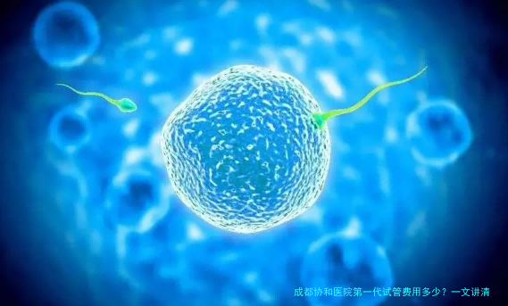 成都协和医院第一代试管费用多少?一文讲清楚,附详细明细!