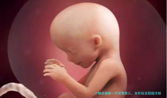 少精症做第一代试管婴儿，各阶段流程超详细解析（附注意事项）