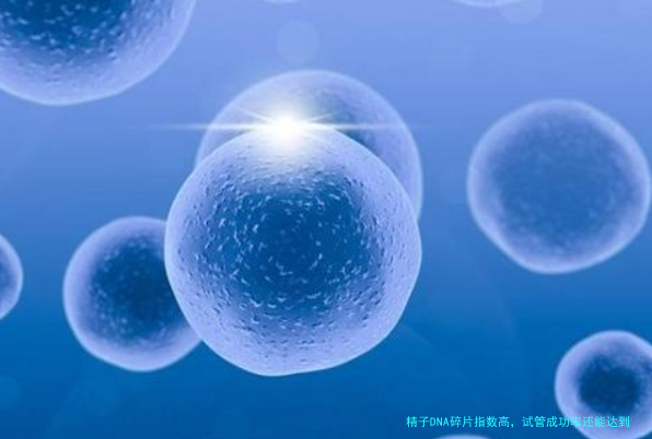 精子DNA碎片指数高，试管成功率还能达到80%？真相在这里！
