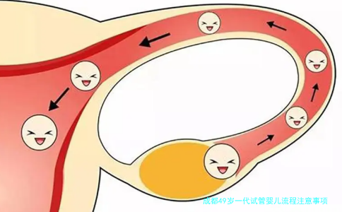 成都49岁一代试管婴儿流程注意事项