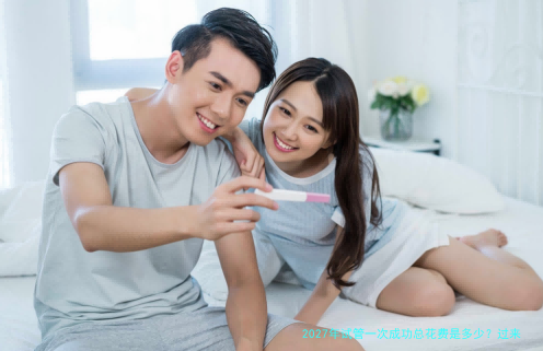 2027年试管一次成功总花费是多少？过来人经验分享