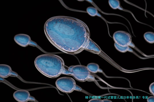 精子畸形做一代试管婴儿成功率有多高？专家为你解析