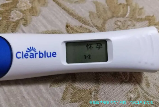 移植前情绪波动大？别慌，试试这几个方法