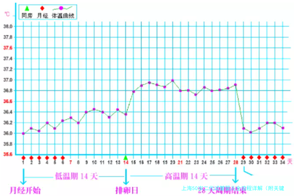 上海50岁二代试管婴儿全流程详解（附关键步骤及注意事项）