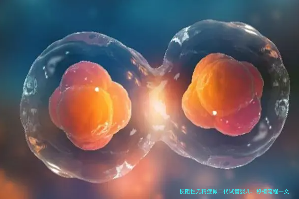 梗阻性无精症做二代试管婴儿，移植流程一文讲透！