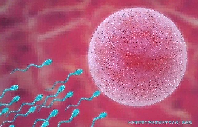 34岁输卵管水肿试管成功率有多高？真实经验与科学分析告诉你答案