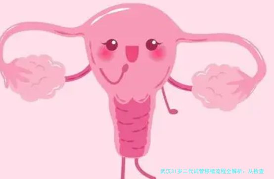 武汉31岁二代试管移植流程全解析：从检查到好孕的每一步