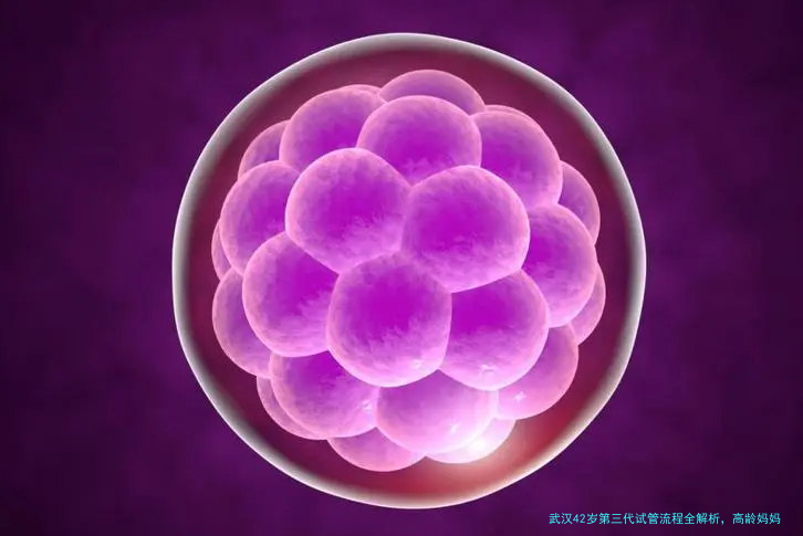 武汉42岁第三代试管流程全解析，高龄妈妈必看