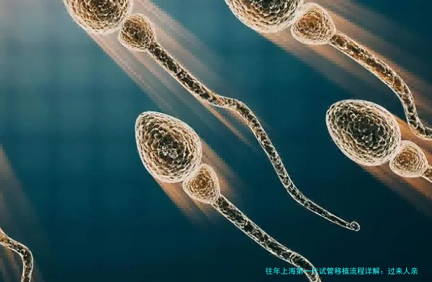 往年上海第一代试管移植流程详解：过来人亲身经历回忆