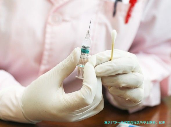 重庆37岁一代试管流程成功率全解析，过来人经验分享