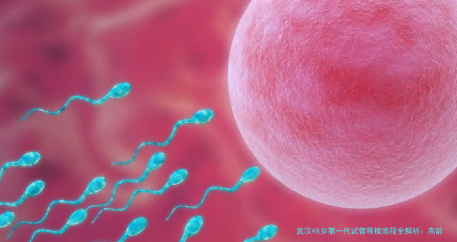 武汉48岁第一代试管移植流程全解析：高龄妈妈必看的真实经历