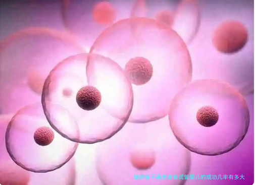 输卵管不通患者做试管婴儿的成功几率有多大？真相在这里