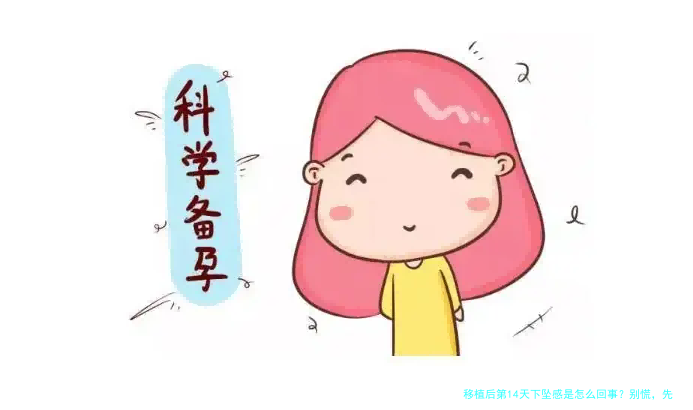 移植后第14天下坠感是怎么回事？别慌，先看看这篇