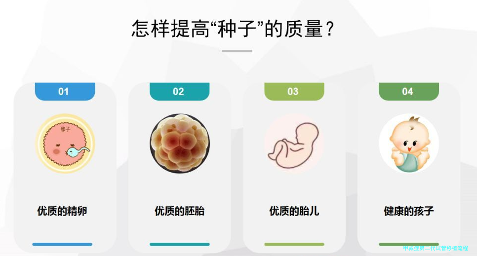甲减症第二代试管移植流程