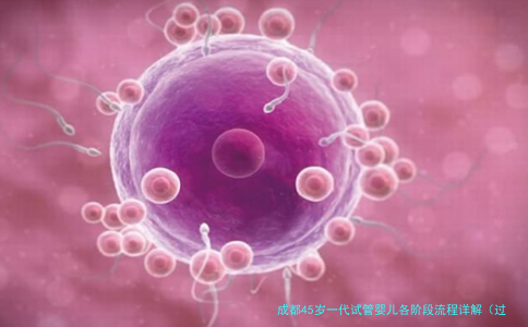 成都45岁一代试管婴儿各阶段流程详解（过来人经验）