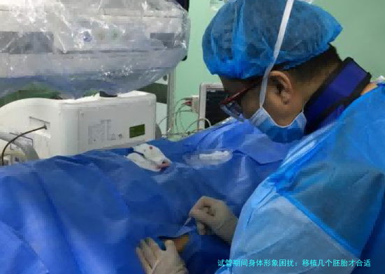 试管期间身体形象困扰：移植几个胚胎才合适？过来人聊聊心里话