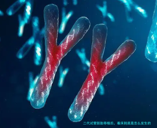 二代试管胚胎移植后，着床到底是怎么发生的？一步步讲给你听