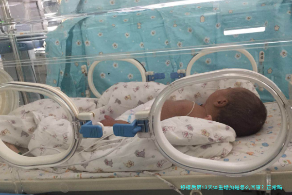 移植后第13天体重增加是怎么回事？正常吗？别着急，看完这篇就懂了