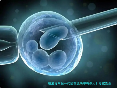 精液异常做一代试管成功率有多大？专家告诉你真实数据