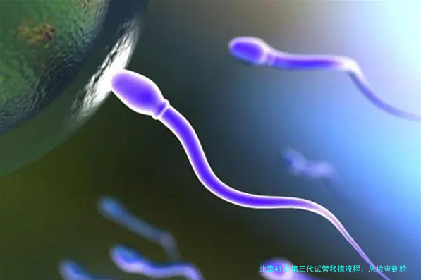 北京41岁第三代试管移植流程：从检查到验孕，每一步都揪心却也值得
