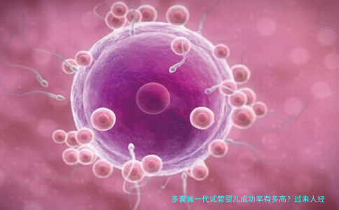 多囊做一代试管婴儿成功率有多高？过来人经验告诉你真相