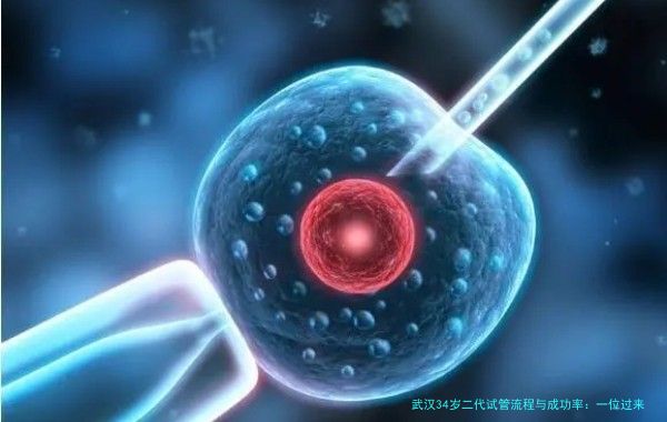 武汉34岁二代试管流程与成功率：一位过来人的真实分享