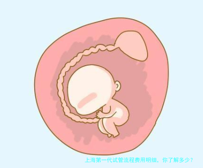 上海第一代试管流程费用明细，你了解多少？