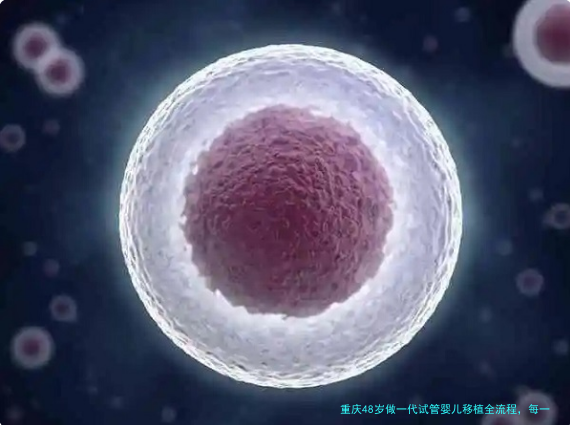 重庆48岁做一代试管婴儿移植全流程,每一步都要稳