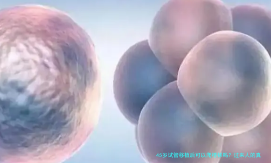 45岁试管移植后可以爬楼梯吗?过来人的真心话