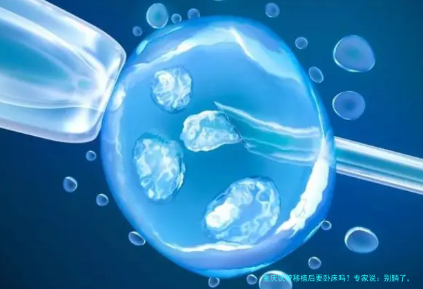重庆试管移植后要卧床吗？专家说：别躺了，正常生活才是王道！
