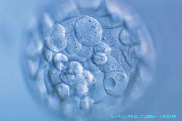 武汉第三代试管婴儿全流程解析:从检查到移植,一步步带你走