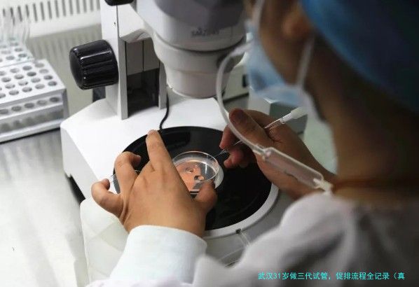 武汉31岁做三代试管，促排流程全记录（真实经历分享）