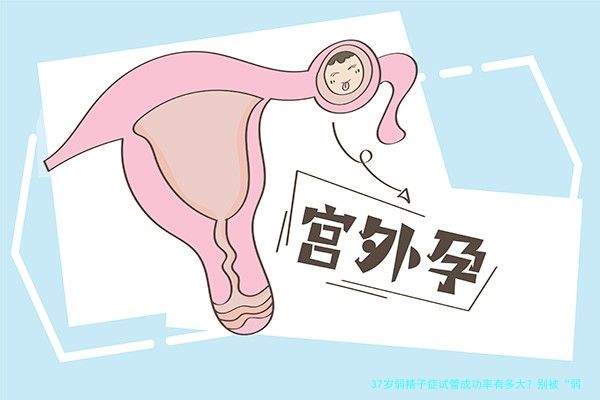 37岁弱精子症试管成功率有多大？别被“弱精”吓住，真实数据摆给你