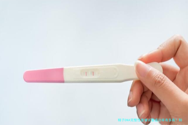精子DNA完整性差做试管成功率有多高？别慌，看这里支招
