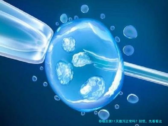 移植后第11天腹泻正常吗？别慌，先看看这些应对建议
