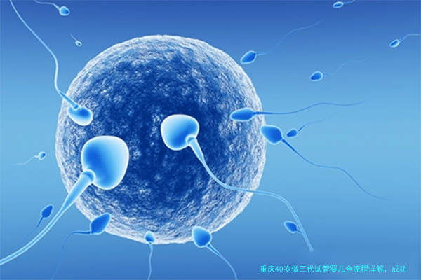 重庆40岁做三代试管婴儿全流程详解，成功率到底有多高？