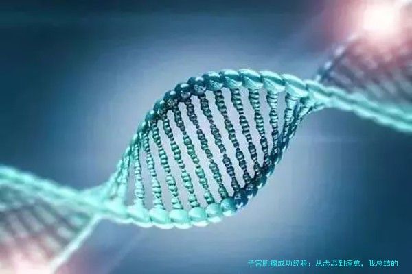 子宫肌瘤成功经验：从忐忑到痊愈，我总结的5个关键点