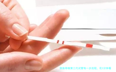 胚胎移植第三代试管每一步流程，花3分钟看完心里有底