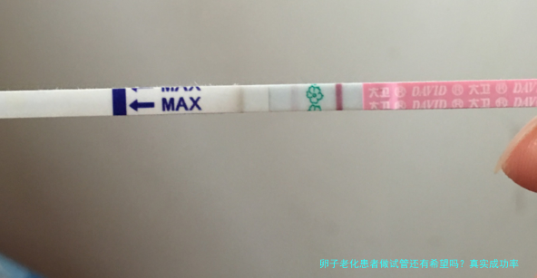 卵子老化患者做试管还有希望吗？真实成功率告诉你