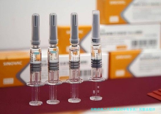 弱精症做二代试管成功率有多高？完整流程详解