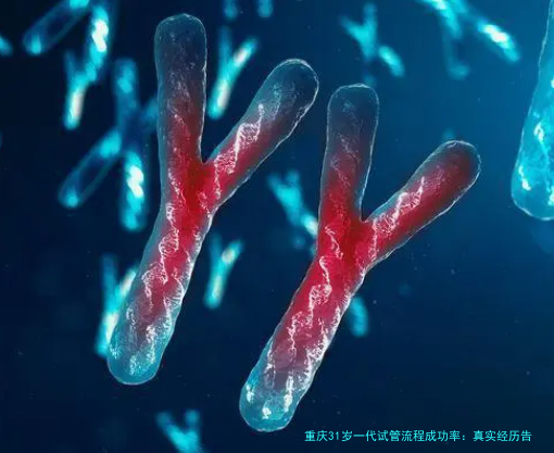 重庆31岁一代试管流程成功率：真实经历告诉你，别焦虑