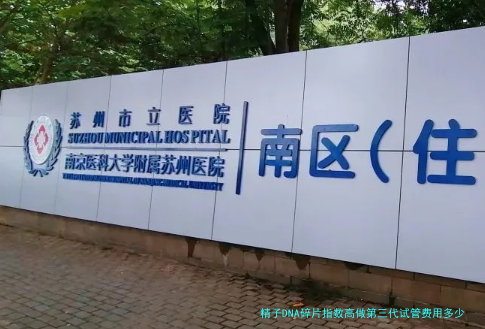 精子DNA碎片指数高做第三代试管费用多少？一文算清这笔账