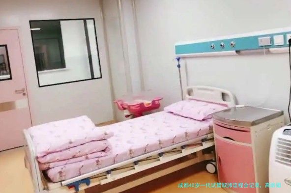 成都40岁一代试管取卵流程全记录，高龄姐妹看这篇就够了