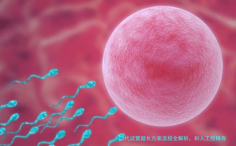 二代试管超长方案流程全解析，和人工授精有啥区别？