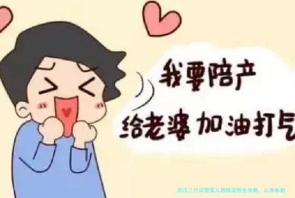 武汉三代试管婴儿移植流程全攻略,从准备到验孕一文讲清
